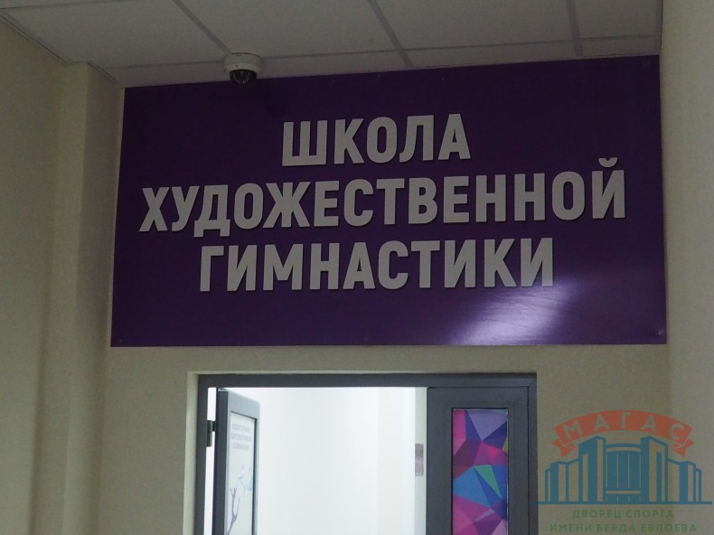 Секция художественной гимнастики на базе Дворца спорта "Магас"